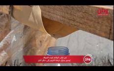 من قلب الركام تنبت الحياة.. تيسير يحوّل خيمة النزوح إلى حقل أمل