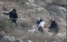 مستوطنون يهاجمون منازل في ياسوف شرق سلفيت