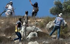 بيت لحم: مستوطنون يرعون أغنامهم في أراضي قرية المنية