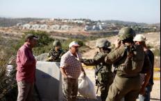 الزيتون الفلسطيني في مرمى المنع.. موسم الحصاد يتحول إلى معركة على الأرض