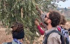إصابات بالاختناق جراء هجوم للمستوطنين على مواطنين ونشطاء أجانب غرب رام الله
