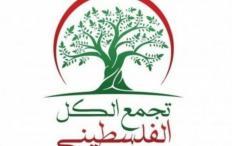 القواسمي يطالب الحكومة عبر وطن بخفض أسعار السولار والغاز ويحذر من انهيار الصناعة والنقل