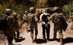الاحتلال يعتقل 8 مواطنين من رام الله ونابلس والخليل