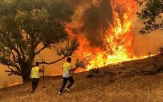 مقتل 26 شخصا بسبب الحرائق في شرق الجزائر