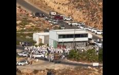 أعداد كبيرة من المستعمرين تقتحم بيتونيا وطريق جريوت غرب رام الله