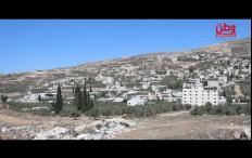 موسم الزيتون في بورين.. ذاكرةٌ عمرها عقود وقيودٌ تهدد القطاف