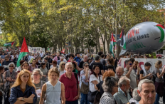 مظاهرات في مدن إسبانية عدّة تضامناً مع فلسطين