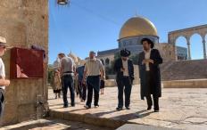 عشرات المستوطنين برفقة المتطرف "غليك" يقتحمون الأقصى