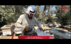 من بين خلايا النحل.. أبو عبد الله يحاول أن يعيد بناء حياته التي دمرتها الحرب