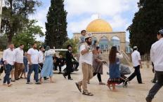 مئات المستوطنين يقتحمون الأقصى في ثاني أيام "الفصح" اليهودي