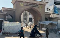 أساتذة جامعات فلسطين من أفضل الباحثين في العالم: نهضوا من الركام وحطام الأرض