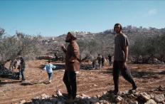 مستوطنون يهاجمون قاطفي الزيتون في اللبن الشرقية