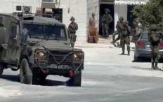 الاحتلال يداهم منتزه في ضاحية شويكة شمال طولكرم ويستولي على حيوانات برية