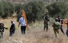 مستوطنون يهاجمون المزارعين غرب نابلس