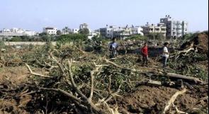 الاحتلال يجرف 1000 شجرة في بيت أولا غرب الخليل