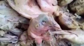 بالفيديو... السعودية: وجبة رؤوس دجاج تقدم لنزلاء سجن نجران