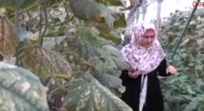 خاص لـ"وطن": بالفيديو... طولكرم: سوزان تمتلك مزرعتها.. و"الريادة الشبابية" يخلق جيلًا مستثمرًا