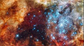 اكتشاف نجوم "وحشية" في مجرة درب التبانة