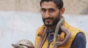 الشاب الغزي محمد حمدان...عاشق الطبيعة وصائد الأفاعي
