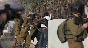 الاحتلال يعتقل 3 مواطنين من الخليل وجنين