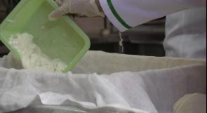 خاص لـ"وطن": بالفيديو.. غزة: فريق يصنع جبنة مخصصة لعلاج هشاشة العظام