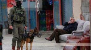 الاحتلال يستخدم الكلاب خلال تفتيش منازل المواطنين في بروقين بسلفيت
