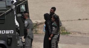 الاحتلال يعتقل 15 مواطنا من نابلس بينهم فتاة