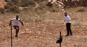 مستوطنون يسيجون أراضي في الأغوار الشمالية
