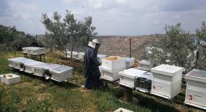 الإغاثة الزراعية تسلّم خلايا ومستلزمات النحل للمستفيدين من مشروع دعم صمود الشباب المقدسيين