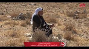 حوارة جنوب الخليل.. شح المياه يهدد الأرض والمواشي والصمود