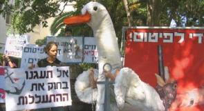 آلاف المتظاهرين في تل أبيب يطالبون بـ 'حماية حقوق الحيوان'