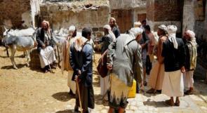 اليمن: إعدام حمار عض أسرة من 5 أفراد