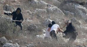 مستوطنون يهاجمون منازل في زعترة شرق بيت لحم ويسرقون أغناما