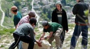 القدس: مستوطنون يعتدون على الأطفال في سلوان