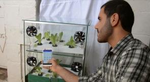 خاص لـ "وطن" بالفيديو .. طولكرم: شاب يطور مشروعاً للزراعة المائية الذكية من خلال المحمول