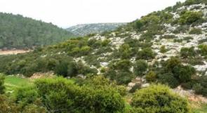 تخصيص 25 دونمًا من أراضي المحميات الطبيعية في جنين لإقامة متنزه عام