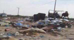 خاص لـ "وطن": بالفيديو... حي "النصر" في رفح.. بين تراكم النفايات والتهميش