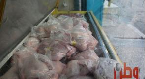 حملة لفحص الدجاج المثلج في فلسطين بعد اكتشاف بكتيريا ممرضة