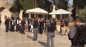 شرطة الاحتلال توصي بالسماح لنواب الكنيست باقتحام الأقصى