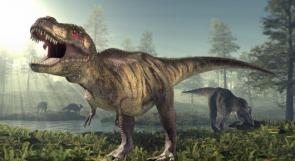 البحث عن حفرة بالمكسيك ناجمة عن نيزك أدى لانقراض الديناصورات