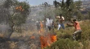 المستوطنون يحرقون أراضي زراعية في 4 قرى بنابلس