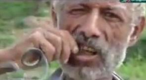 بالفيديو..يمني يأكل الثعابين السامة