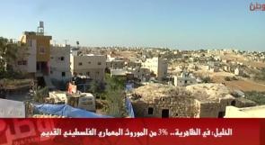 خاص لـ "وطن": بالفيديو... الخليل: في الظاهرية.. 3% من الموروث المعماري الفلسطيني القديم