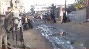 خاص لـ "وطن": بالفيديو... غزة: "الملالحة" يعيشون في "مستنقع" أوبئة