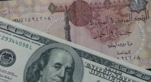 مصر تثبت الدولار الجمركي بداية العام