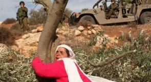 الأرض لا عيد لها.. هي كذبة كبيرة