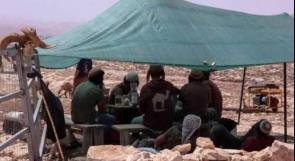 مستوطنون ينصبون خيمة ويهاجمون منزلاً في أم صفا