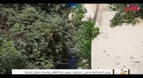 وادي المياه العادمة في "دير شرف" ينغص حياة الأهالي وأصحاب المحال التجارية
