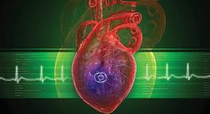 باحثون: تقنية استبدال صمامات القلب آمنة حتى بالتسعين