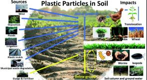 جسيمات بلاستيكية سامة قد تخترق المحاصيل المروية بالمياه العادمة المعالجة